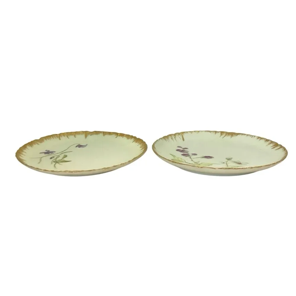 Haviland 1870-1890 Decorative Floral Plates France 7” Set of 2